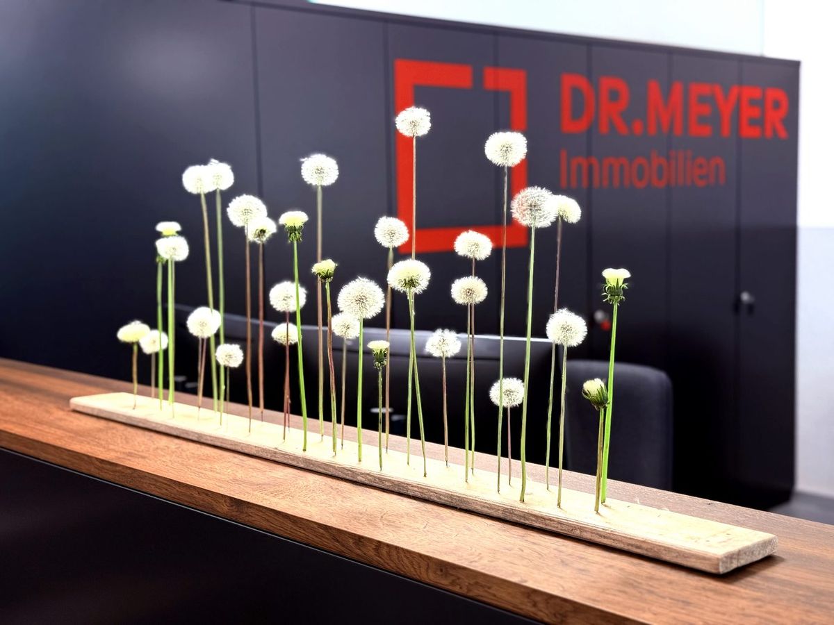 Pusteblumen auf Holzleiste