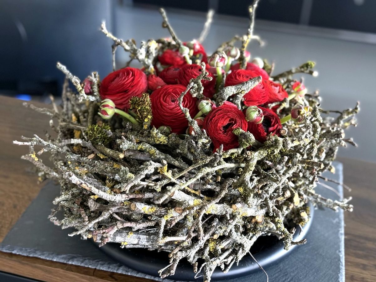 Rote Ranunkeln im Zweignest